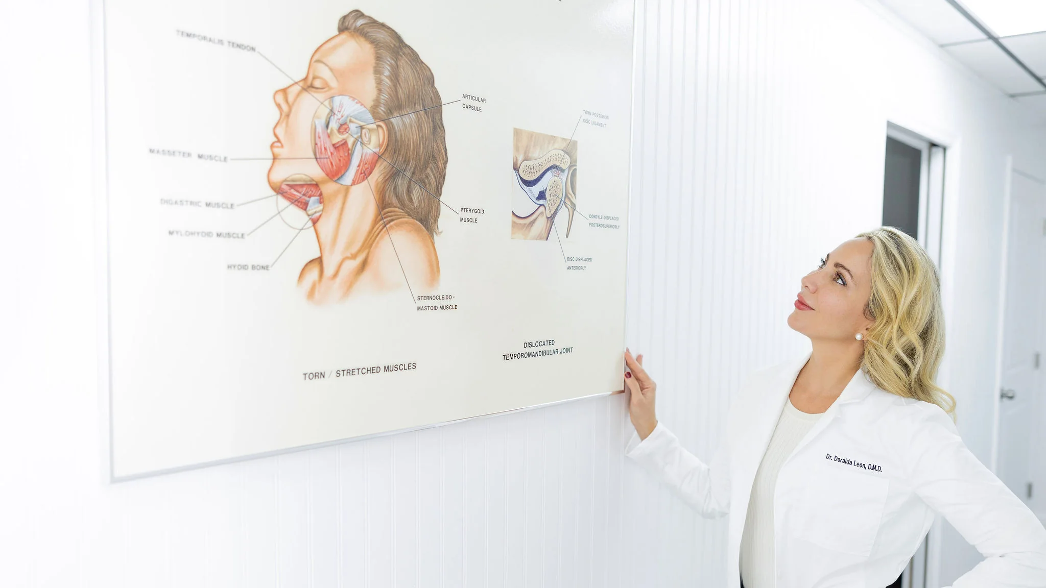 Dr. Leon looking up at a wall chart of the jaw muscles and the temporomandibular joint