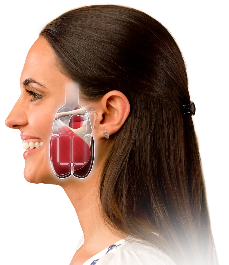 Side view of a woman's head. An illustration over her cheek shows the jaw joint and a jaw muscle inside the outline of the applicator, in front of the ear.